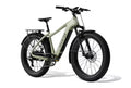 Aventon Aventure 3 Step-Over E-Bike – Pre-Order (Ships to Store)