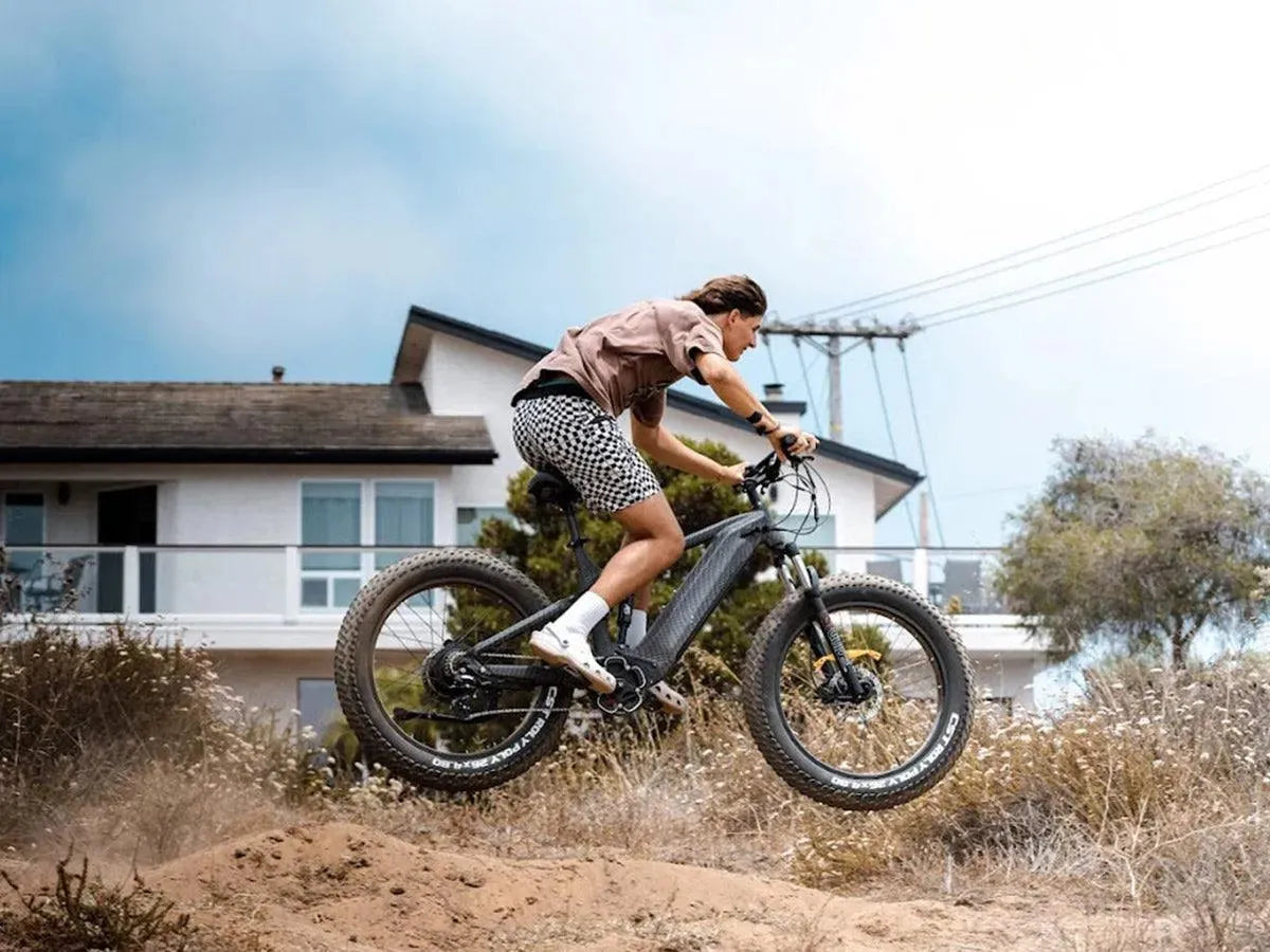 Himiway D7 / Full Suspension Electric Hunting Bike