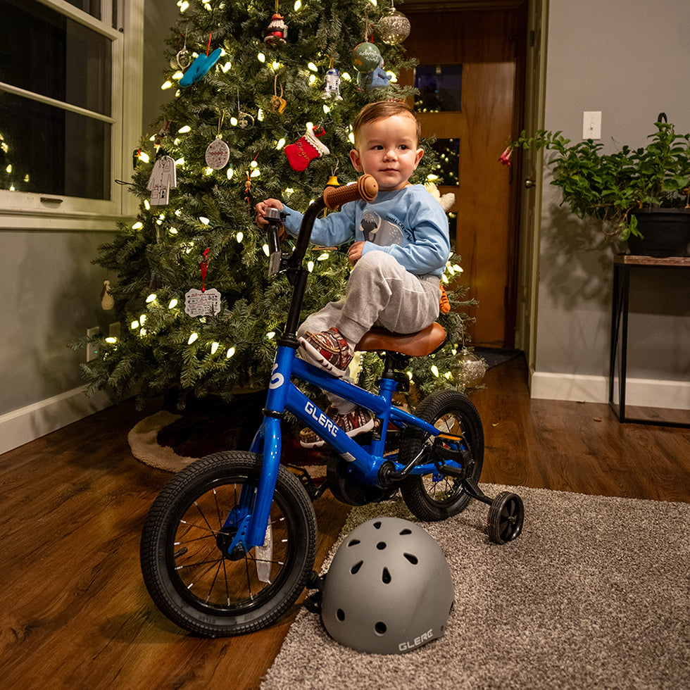 Glerc 16" BMX Style Kids Sleek Bike with Coaster Brake - Pongo