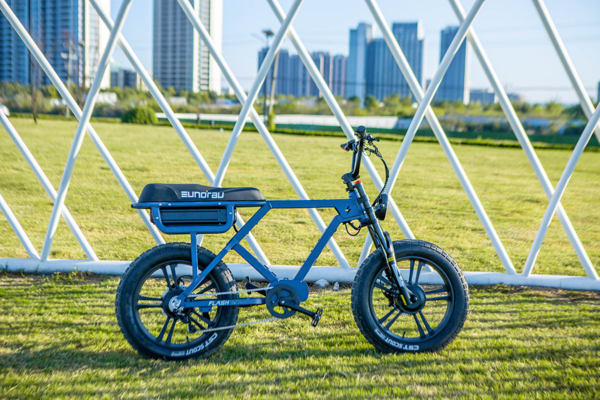 EUNORAU FLASH AWD 1.0 Fat-Tire E-Bike