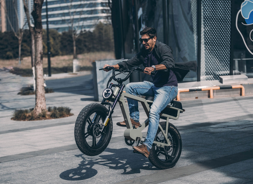 EUNORAU FLASH AWD 1.0 Fat-Tire E-Bike