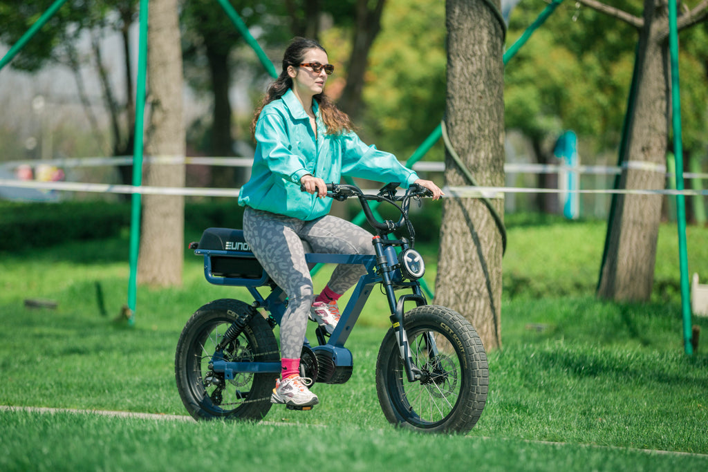 EUNORAU FLASH AWD 1.0 Fat-Tire E-Bike