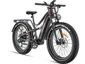 E-Bike Rental (unit 01)