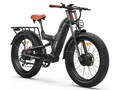 E-Bike Rental (unit 02)