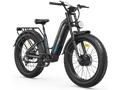 E-Bike Rental (unit 03)