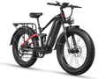 E-Bike Rental (unit 05)