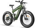 E-Bike Rental (unit 06)