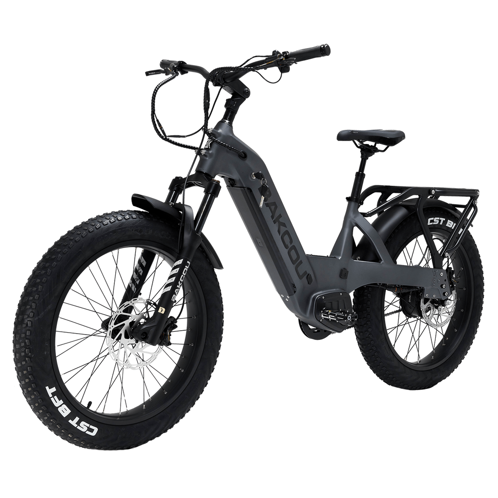 Flatlander SD
